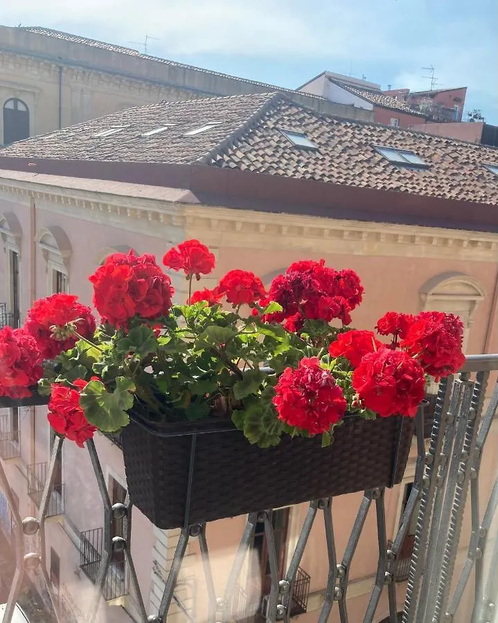 B&B Oriental Palace Katanya Oda ve Kahvaltı